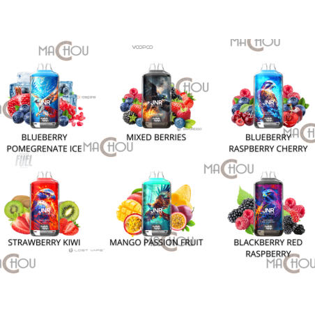 PUFF JNR KIT GORILLA X + 2X10ML - 20MG PASTEQUE GLACEE